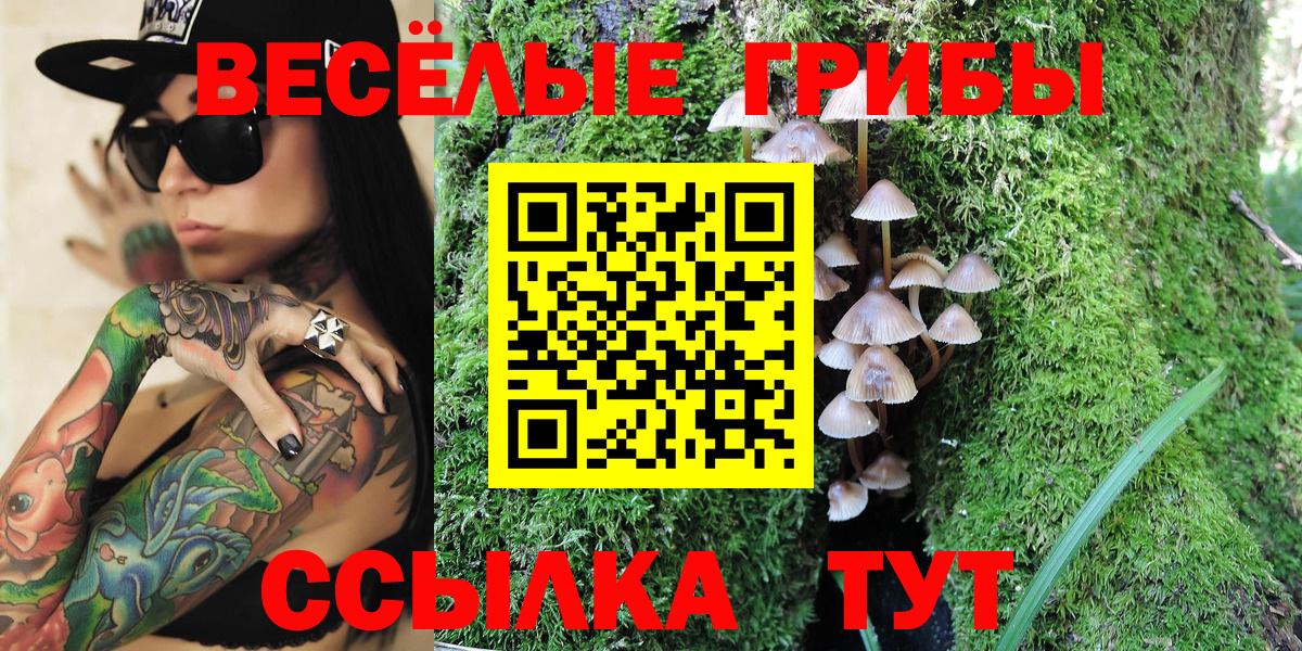 Галлюциногенные грибы ЛСД  Вход с VPN  Галлюциногенные грибы MAGIC MUSHROOMS  Каменск-Шахтинский 