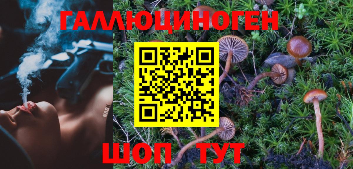 Галлюциногенные грибы Psilocybe Каменск-Шахтинский